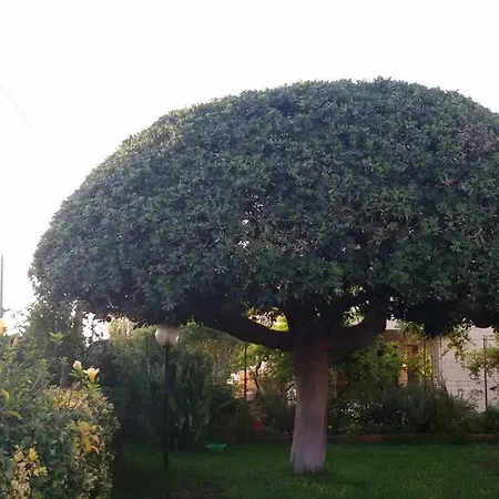 Casa Di Poseidone בית נופש *