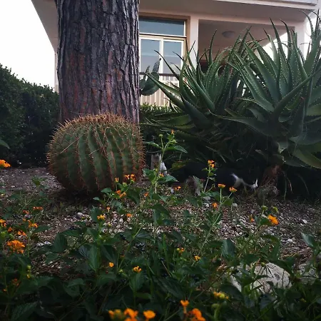 Casa Di Poseidone Hébergement de vacances Brucoli