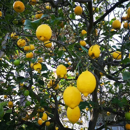 Casa Di Poseidone Hébergement de vacances *