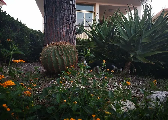 Casa Di Poseidone Hébergement de vacances Brucoli
