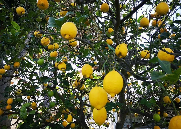 Casa Di Poseidone 度假居 *